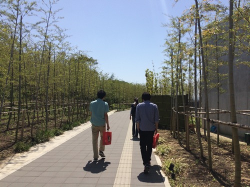 一蘭の森