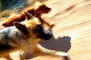 run