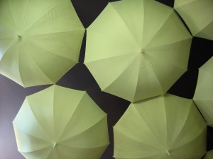 umbrella