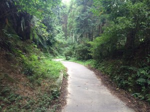 アラスカ 福岡