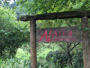 福岡 アラスカ