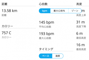 garmin