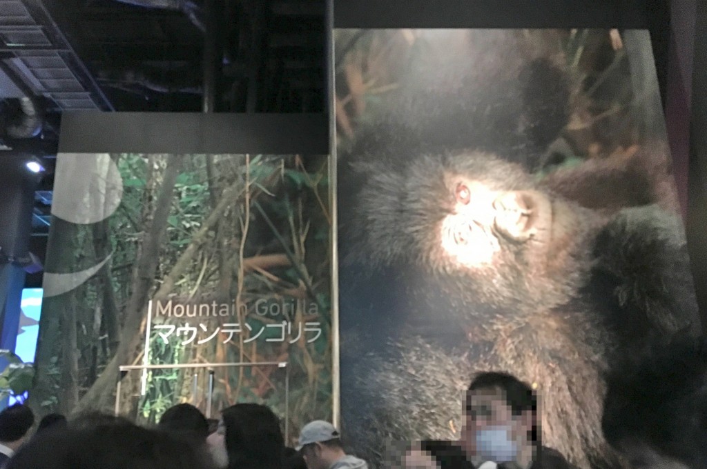 Orbi大阪マウンテンゴリラ