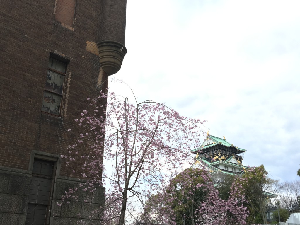 大阪城 公園 桜 お花見 大阪城公園