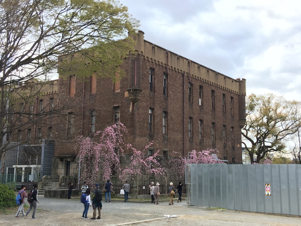 大阪城 公園 桜 お花見 大阪城公園