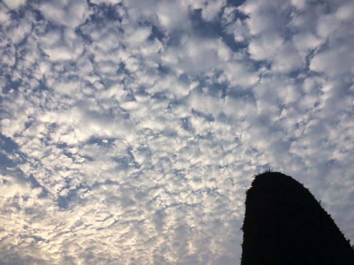 空 彼女