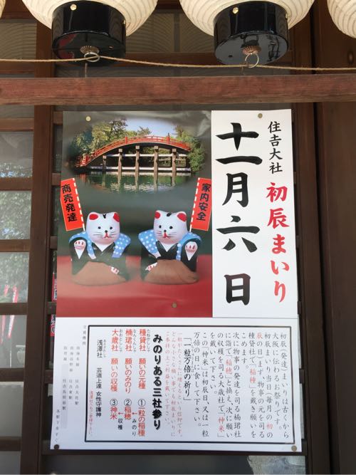 楠珺社,住吉大社,猫,招福猫,パワースポット