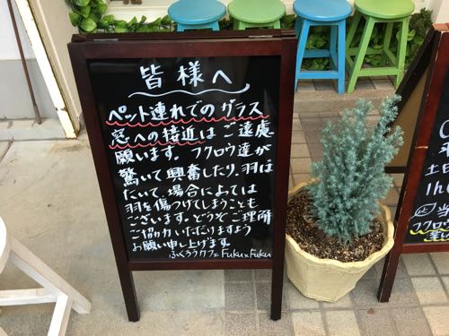 鈴鹿,ふくろうカフェ,白子,白子駅,三重,fukufuku