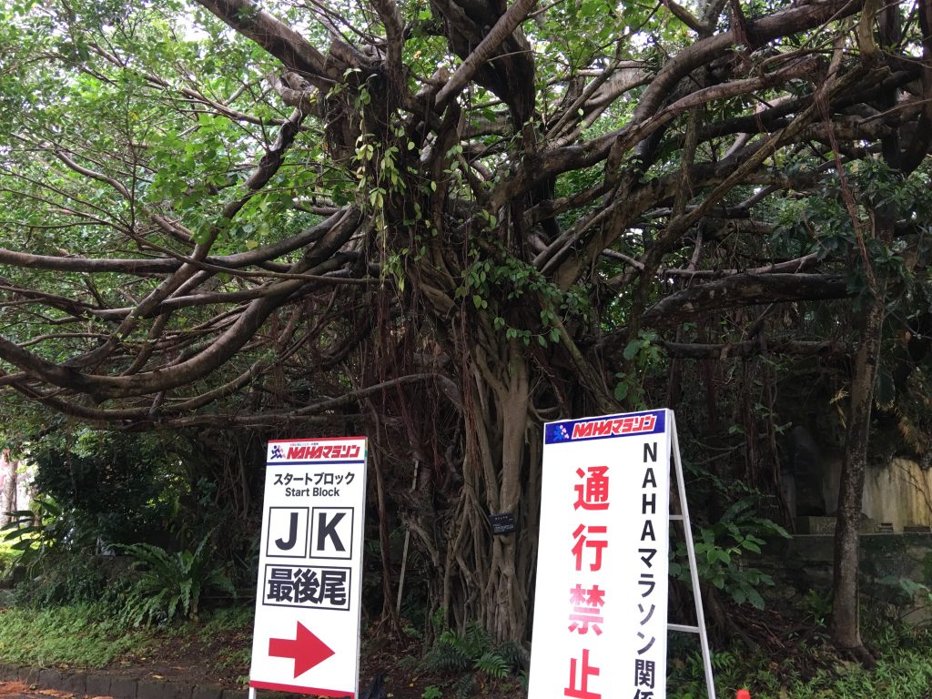 那覇,那覇マラソン,壷川,沖縄 ,ゆいレール,ゼッケン
