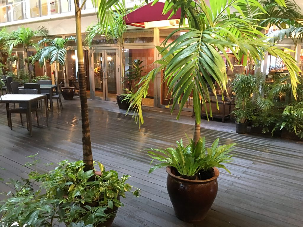 那覇,那覇マラソン,ホテル,沖縄,hotel,沖縄観光,おすすめ,沖縄かりゆしアーバンリゾートナハ