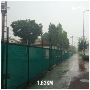 rain