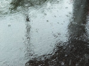 rain-5-1390722-1280x960