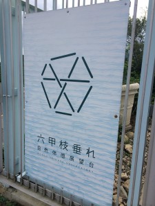 六甲枝垂れ