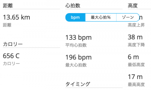 garmin connect