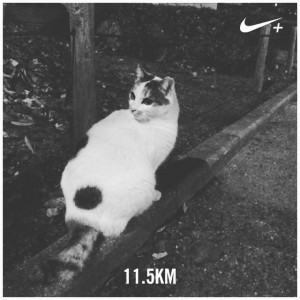 nike+
