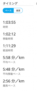 garmin