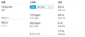 garmin