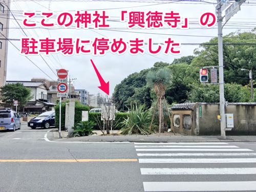 姪浜店,福岡,カフェ,オオカミの口,スコーン