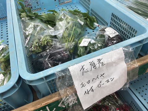 JF糸島,志摩の四季,福岡,糸島,グルメ,観光