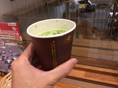 猫カフェ,まるこ日和,鈴鹿