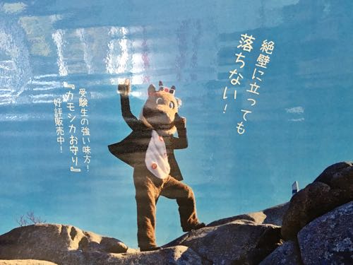紅葉,ロープウェイ,御在所ロープウェイ,湯の山温泉
