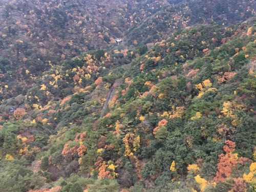 紅葉,ロープウェイ,御在所ロープウェイ,湯の山温泉