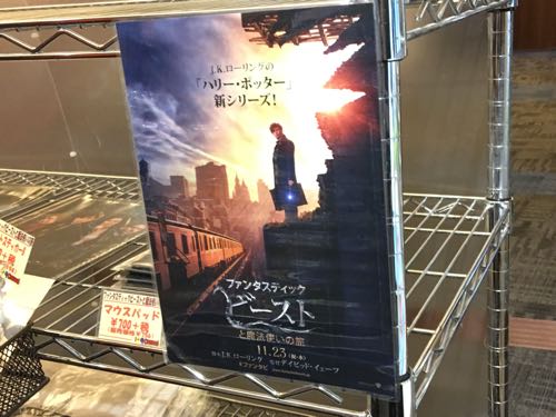 ハリーポッター,ファンタスティックビーストと魔法使いの旅,映画,魔法使い