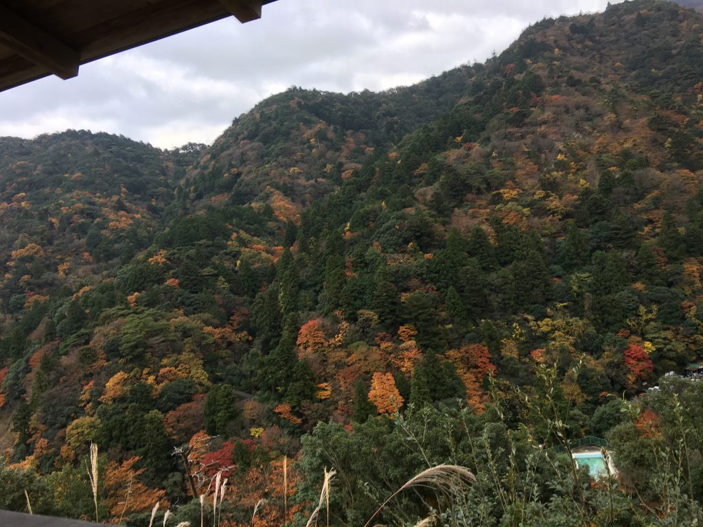 御在所岳,三重県,湯の山温泉,ホテル湯の本,日帰り温泉,御在所ロープウェイ