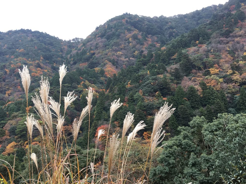 御在所岳,三重県,湯の山温泉,ホテル湯の本,日帰り温泉,御在所ロープウェイ
