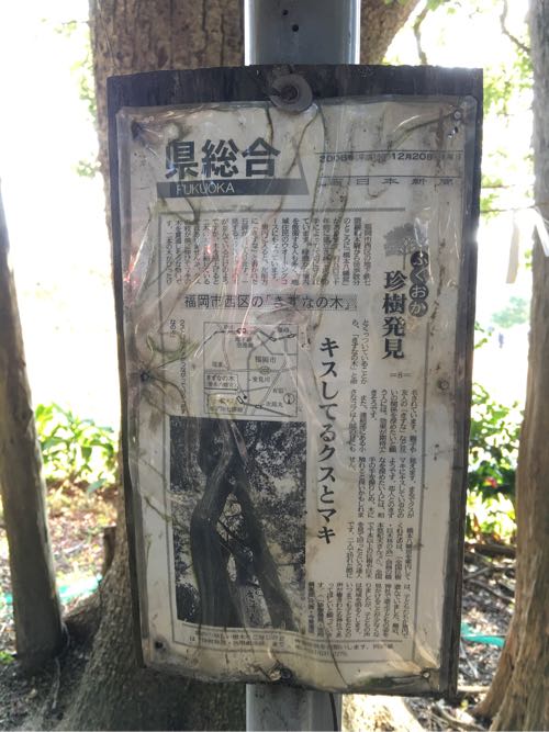 橋本,木の葉モール橋本,橋本八幡宮,福岡,西区,ニトリ