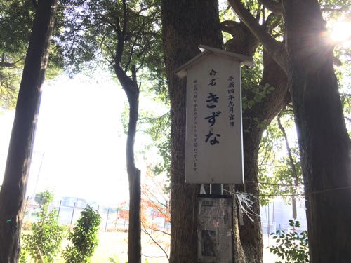 橋本,木の葉モール橋本,橋本八幡宮,福岡,西区,ニトリ