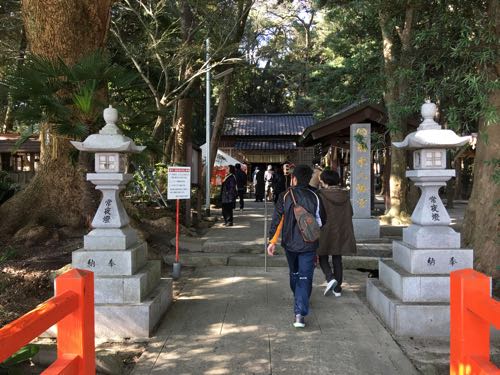 橋本,木の葉モール橋本,橋本八幡宮,福岡,西区,ニトリ