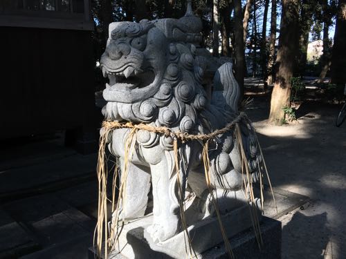 橋本,木の葉モール橋本,橋本八幡宮,福岡,西区,ニトリ