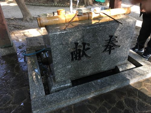 橋本,木の葉モール橋本,橋本八幡宮,福岡,西区,ニトリ
