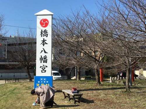 橋本,木の葉モール橋本,橋本八幡宮,福岡,西区,ニトリ