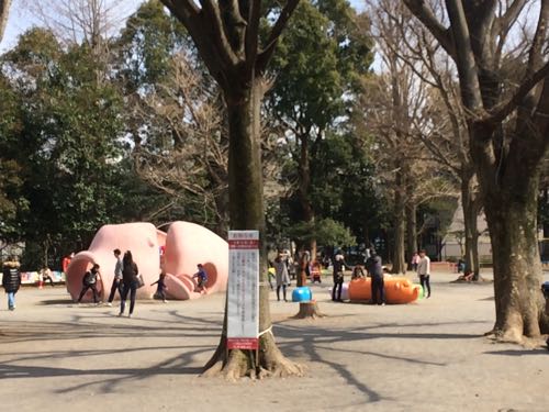 駒沢公園,駒沢オリンピック公園,ランニング,都内,東京オリンピック