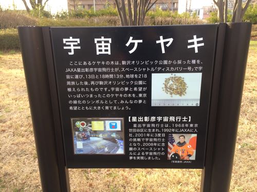駒沢公園,駒沢オリンピック公園,ランニング,都内,東京オリンピック