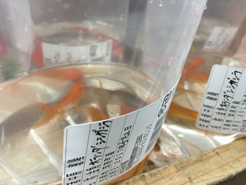 筑前町ファーマーズマーケット,みなみの里,福岡,筑前町,豚のしっぽ