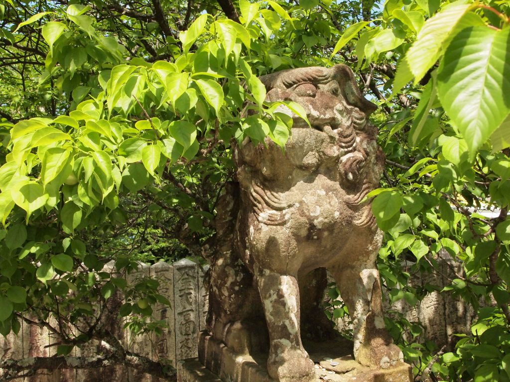 宮地嶽神社,狛犬,狛犬マニア,