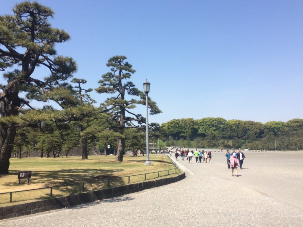 フルマラソン,皇居ラン,ランステ,ラフィネランニングスタイル,ラン,東京,皇居,nike ,nikeplus,running,ランニング