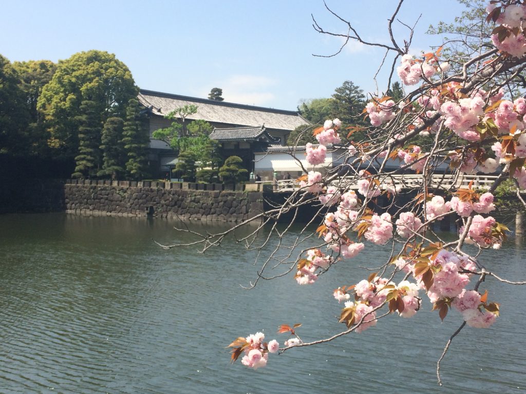 フルマラソン,皇居ラン,ランステ,ラフィネランニングスタイル,ラン,東京,皇居,nike ,nikeplus,running,ランニング