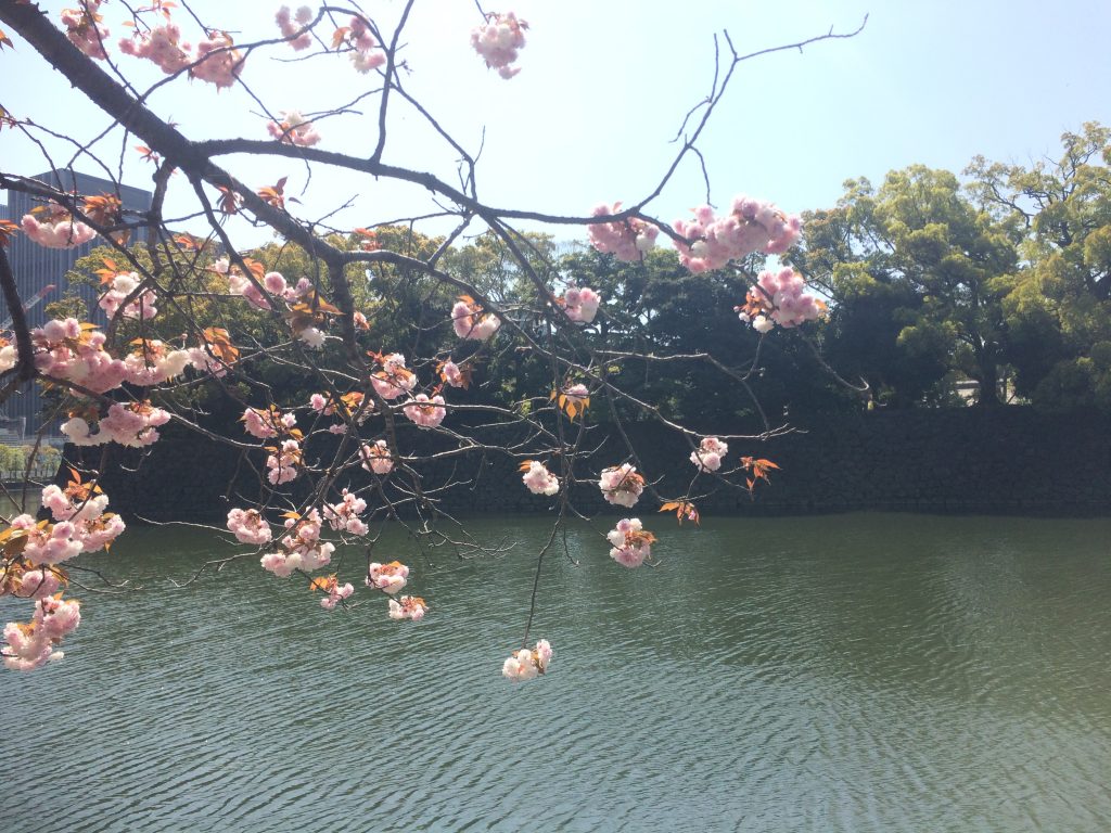 フルマラソン,皇居ラン,ランステ,ラフィネランニングスタイル,ラン,東京,皇居,nike ,nikeplus,running,ランニング