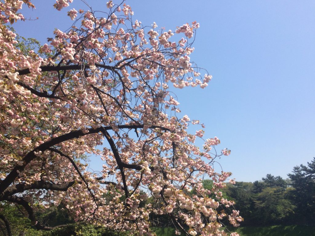 フルマラソン,皇居ラン,ランステ,ラフィネランニングスタイル,ラン,東京,皇居,nike ,nikeplus,running,ランニング