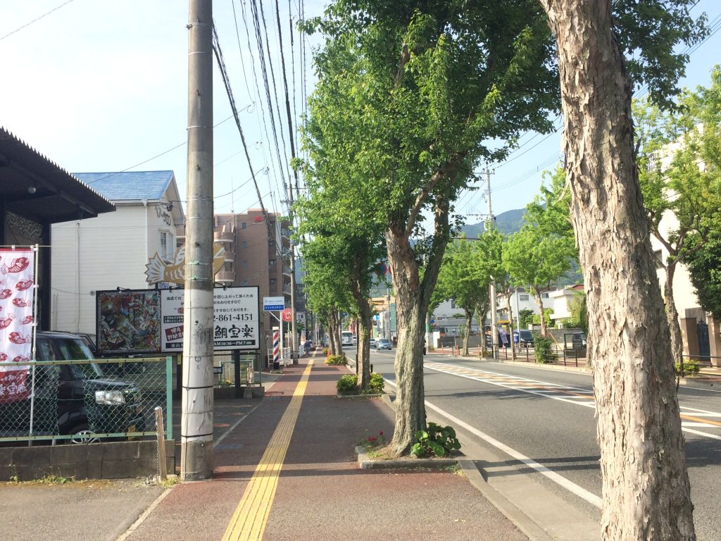 トレイルラン,油山,福岡,福岡市,福岡県,堤小,トレラン,ランニング,マラソン,フルマラソン,run,