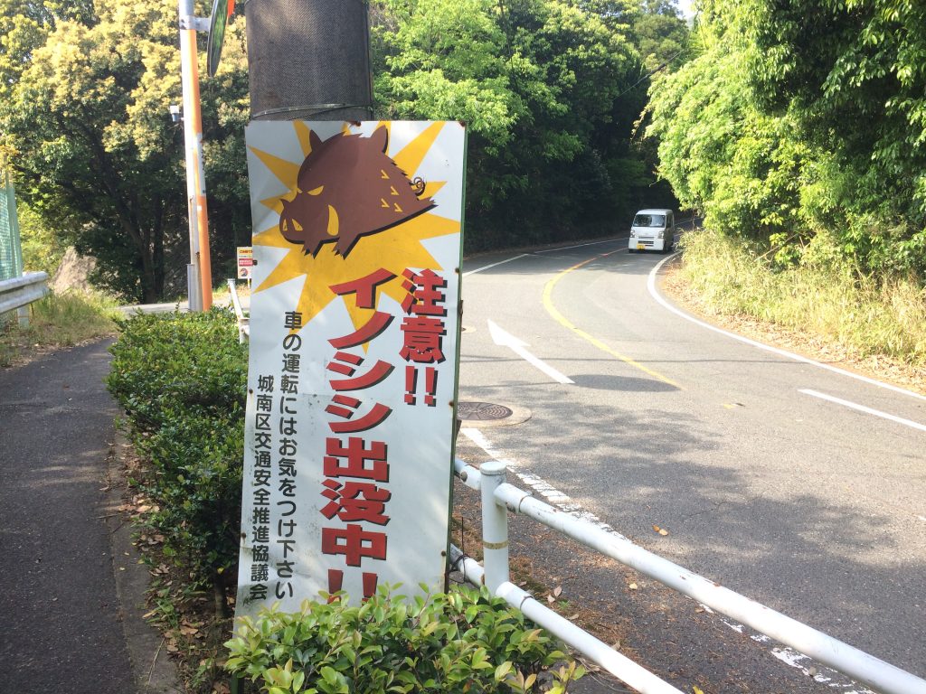 トレイルラン,油山,福岡,福岡市,福岡県,堤小,トレラン,ランニング,マラソン,フルマラソン,run,
