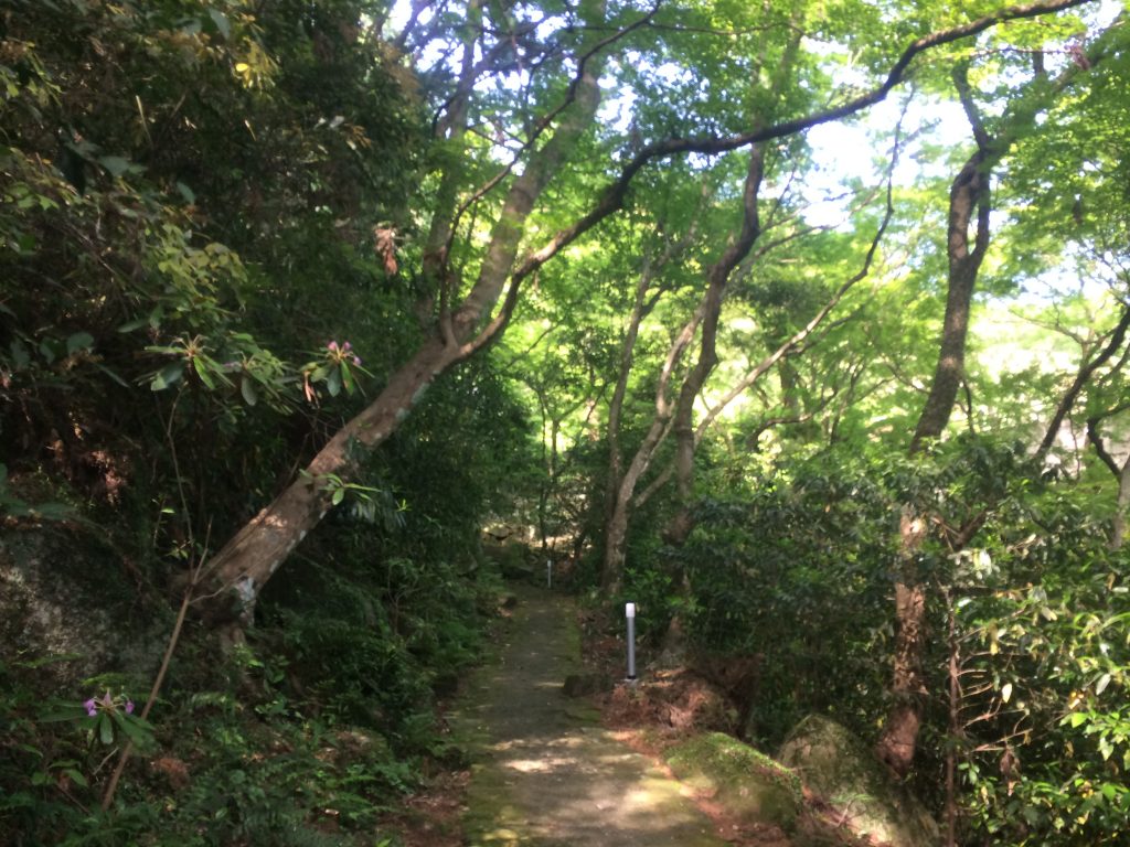 トレイルラン,油山,福岡,福岡市,福岡県,堤小,トレラン,ランニング,マラソン,フルマラソン,run,