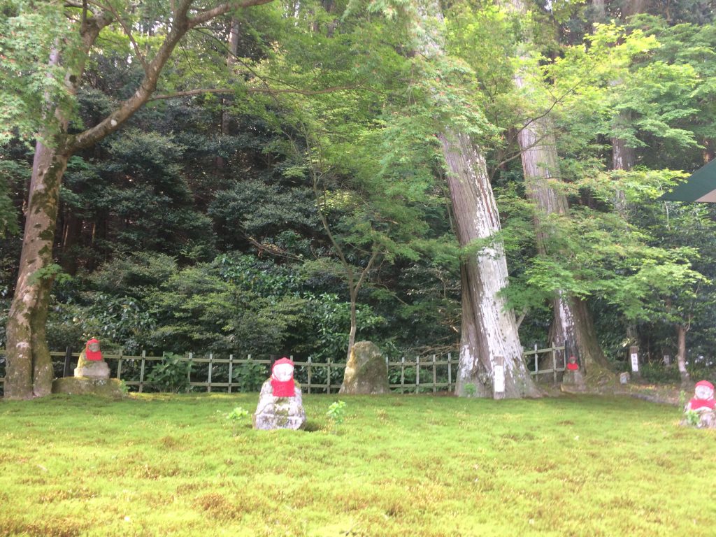トレイルラン,油山,福岡,福岡市,福岡県,堤小,トレラン,ランニング,マラソン,フルマラソン,run,