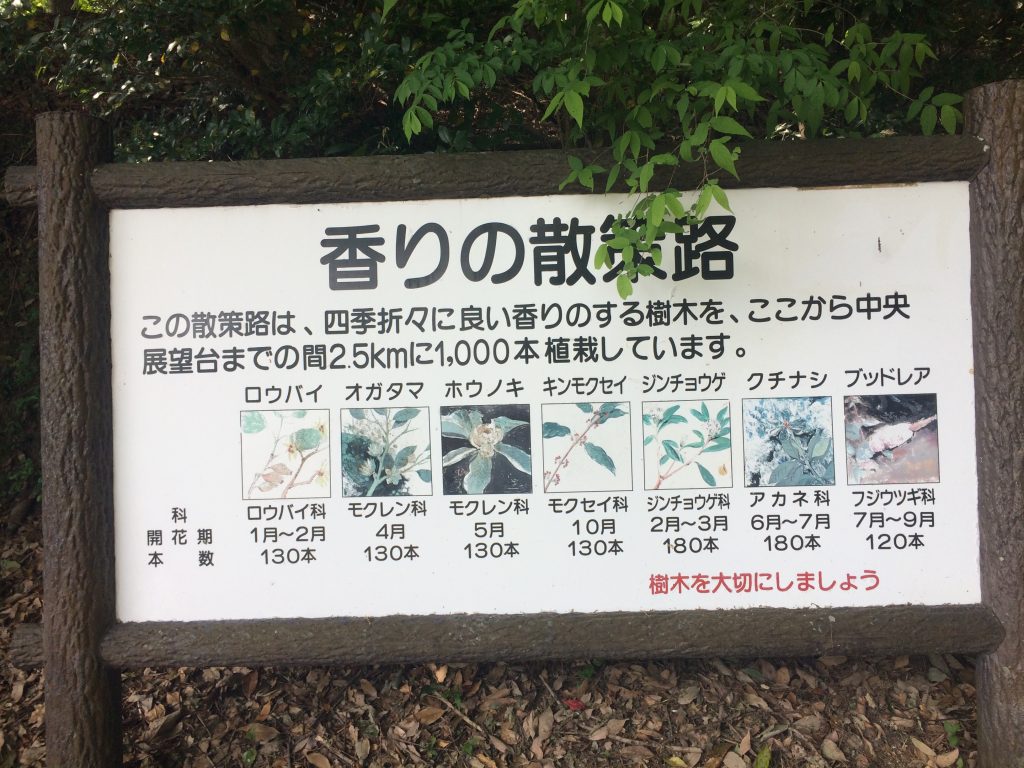 トレイルラン,油山,福岡,福岡市,福岡県,堤小,トレラン,ランニング,マラソン,フルマラソン,run,