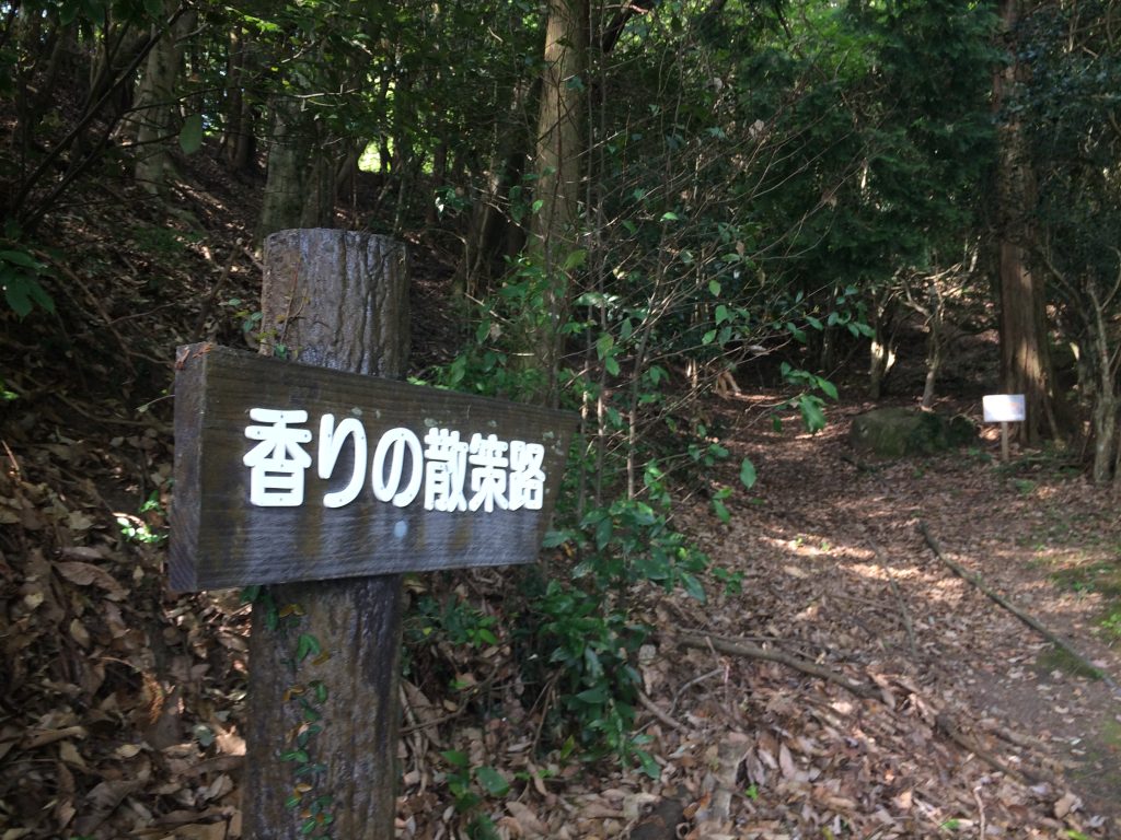 トレイルラン,油山,福岡,福岡市,福岡県,堤小,トレラン,ランニング,マラソン,フルマラソン,run,