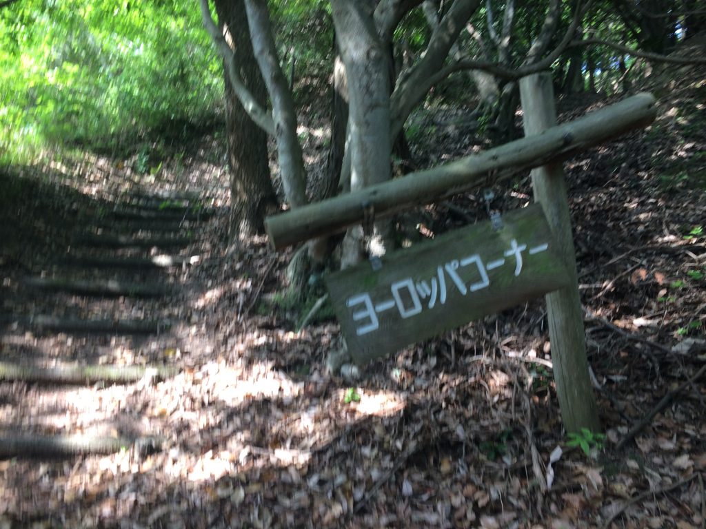 トレイルラン,油山,福岡,福岡市,福岡県,堤小,トレラン,ランニング,マラソン,フルマラソン,run,